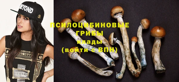 шишки Абдулино