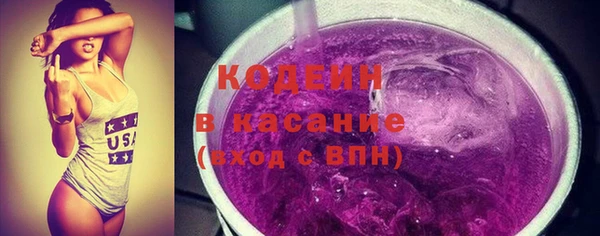 эйфоретик Няндома