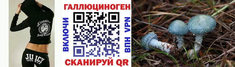 Псилоцибиновые грибы мицелий  где найти наркотики  Сокол 
